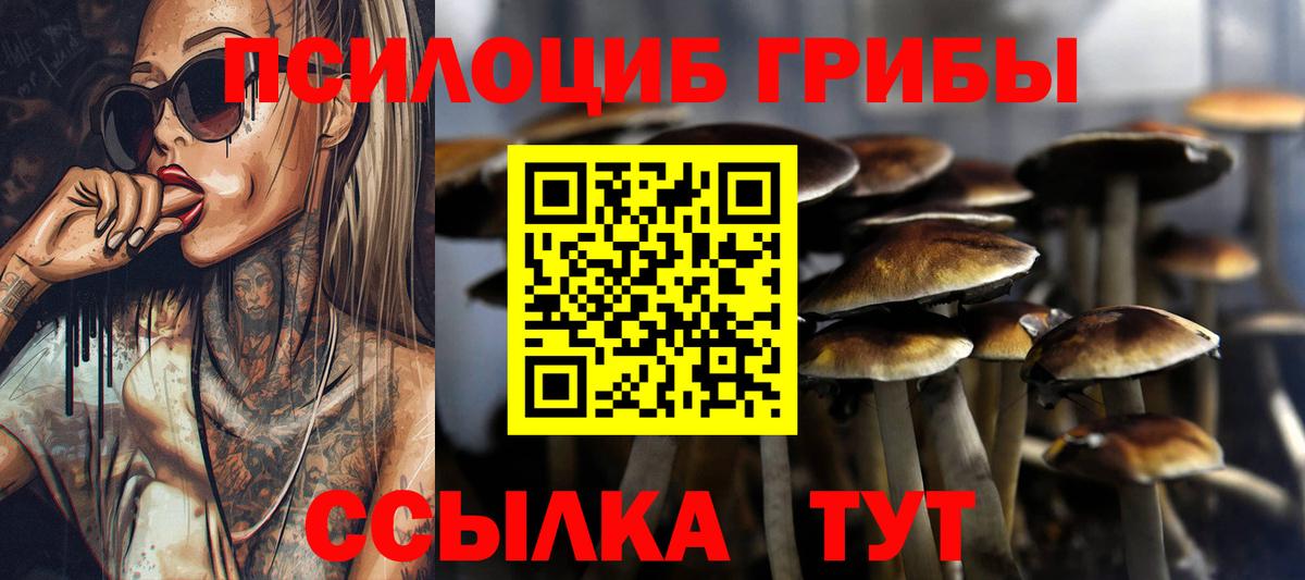 Псилоцибиновые грибы прущие грибы Асбест
